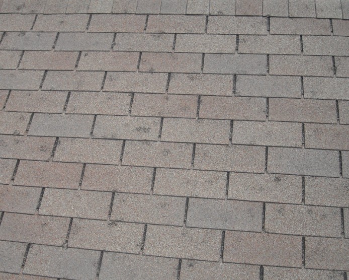 Roof Repair Services Chicago